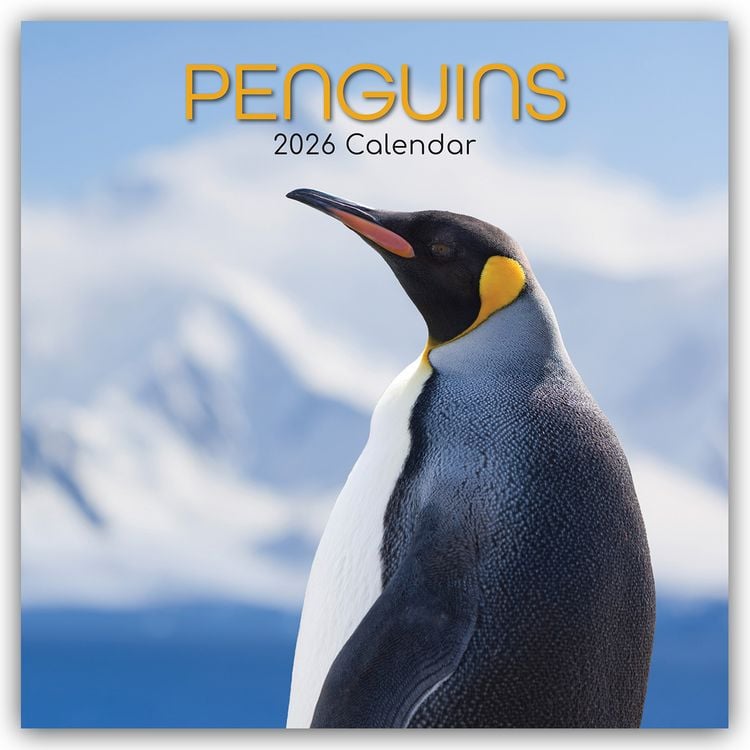 Produktbild: Penguins – Pinguine 2026 – 16-Monatskalender