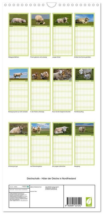 Produktbild: Familienplaner 2027 - Deichschafe - H&uuml;ter der Deiche in Nordfriesland mit 5 Spalten (Wandkalender, 21 x 45 cm) CALVENDO