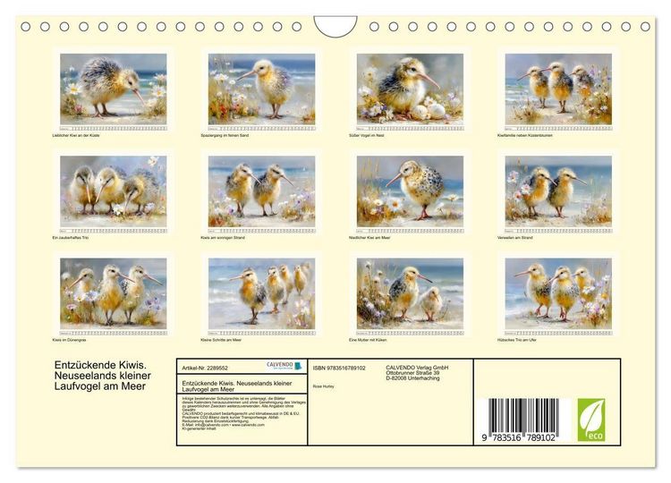 Produktbild: Entz&uuml;ckende Kiwis. Neuseelands kleiner Laufvogel am Meer (Wandkalender 2027 DIN A4 quer), CALVENDO Monatskalender