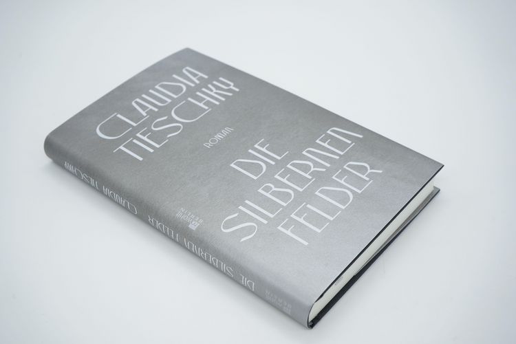 Produktbild: Die silbernen Felder
