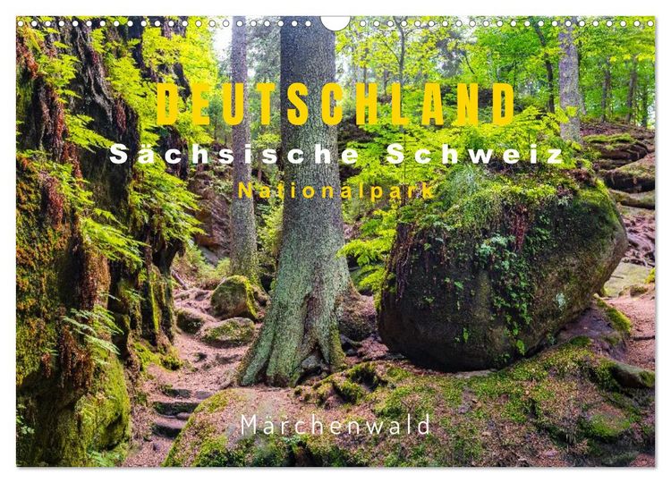 Produktbild: DEUTSCHLAND, S&auml;chsische Schweiz Nationalpark, M&auml;rchenwald (Wandkalender 2026 DIN A3 quer), CALVENDO Monatskalender