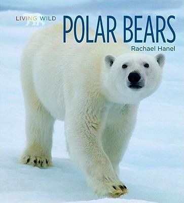 Produktbild: Polar Bears