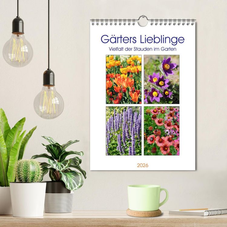 Produktbild: G&auml;rtners Lieblinge - Vielfalt der Stauden im Garten (Wandkalender 2026 DIN A4 hoch), CALVENDO Monatskalender