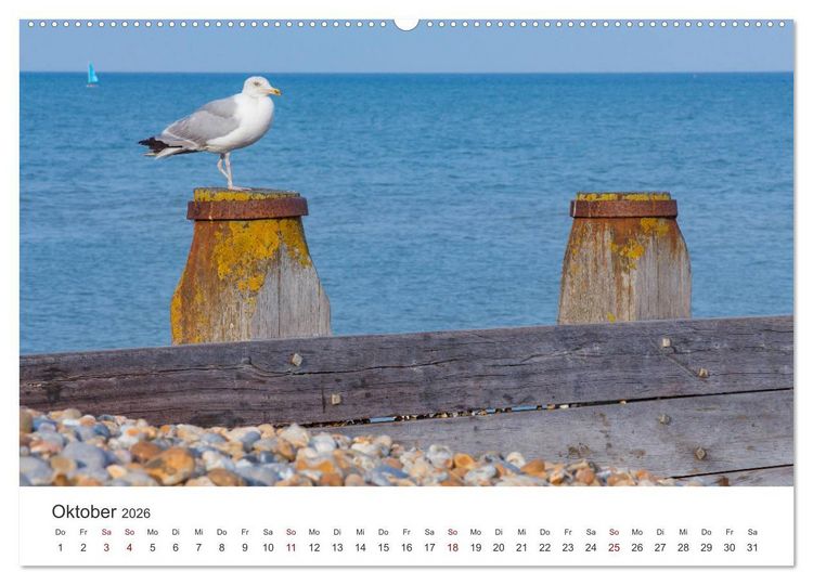 Produktbild: Eastbourne an Englands S&uuml;dk&uuml;ste (hochwertiger Premium Wandkalender 2026 DIN A2 quer), Kunstdruck in Hochglanz