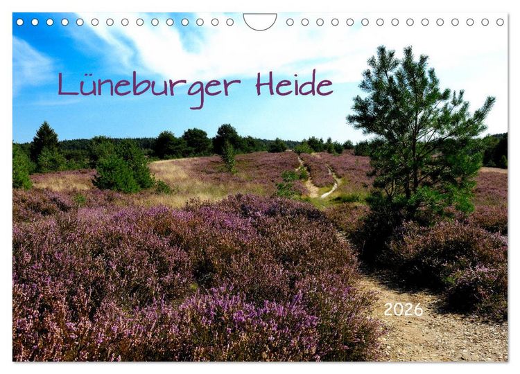 Produktbild: L&uuml;neburger Heide (Wandkalender 2026 DIN A4 quer), CALVENDO Monatskalender