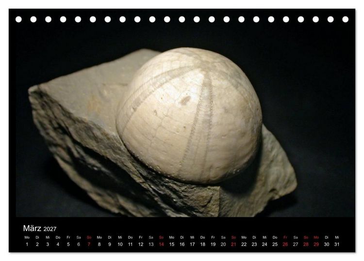 Produktbild: Fossilien - Zeugen der Urzeit (Tischkalender 2027 DIN A5 quer), CALVENDO Monatskalender