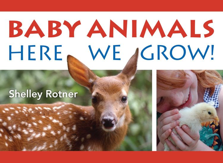 Produktbild: Baby Animals!