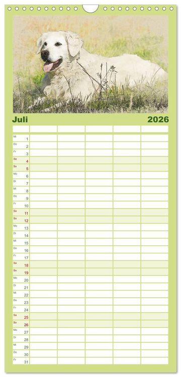 Produktbild: Familienplaner 2026 - Golden Retriever mit 5 Spalten (Wandkalender, 21 x 45 cm) CALVENDO