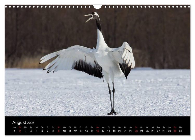 Produktbild: Mandschurenkraniche (Wandkalender 2026 DIN A3 quer), CALVENDO Monatskalender
