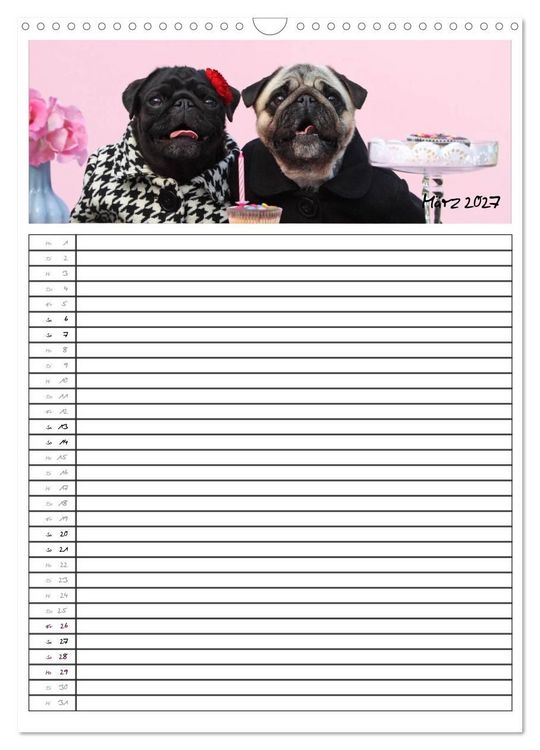 Produktbild: Der mopsige Familienplaner (Wandkalender 2027 DIN A3 hoch), CALVENDO Monatskalender
