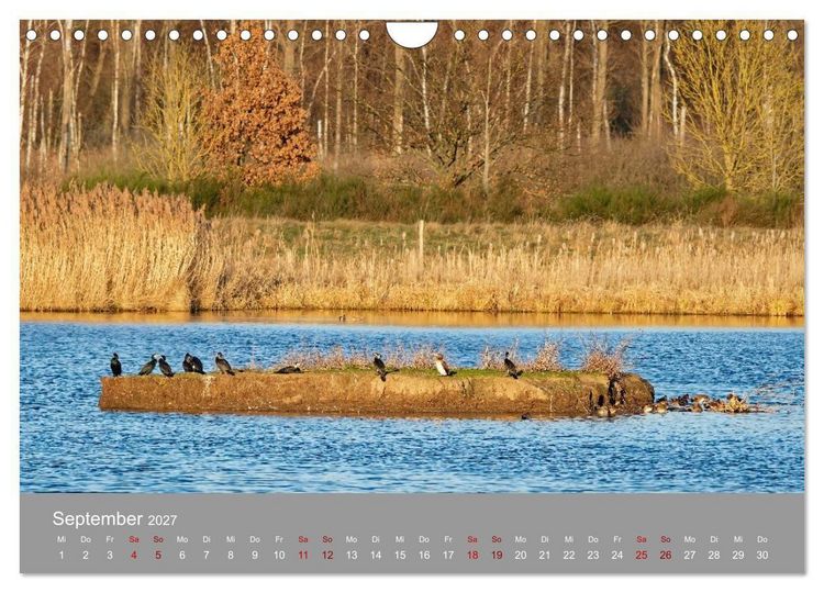 Produktbild: Naturerlebnis im Biosph&auml;renreservat Dr&ouml;mling (Wandkalender 2027 DIN A4 quer), CALVENDO Monatskalender