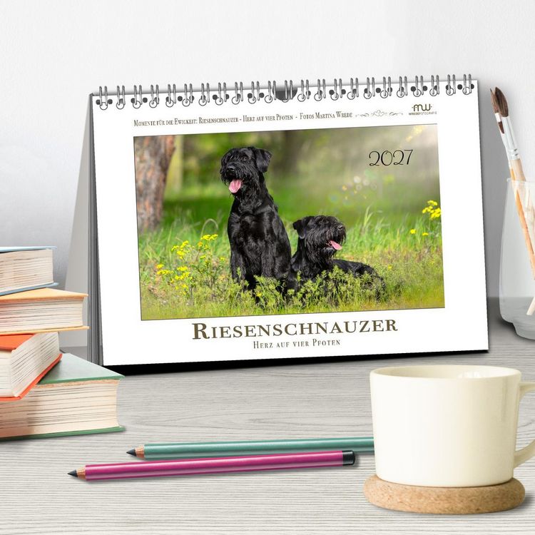 Produktbild: Riesenschnauzer - Herz auf vier Pfoten (Tischkalender 2027 DIN A5 quer), CALVENDO Monatskalender