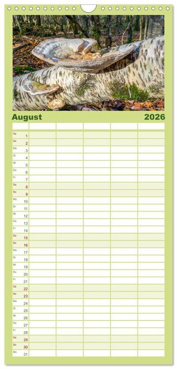 Produktbild: Familienplaner 2026 - Pilze in den Herbstw&auml;ldern mit 5 Spalten (Wandkalender, 21 x 45 cm) CALVENDO