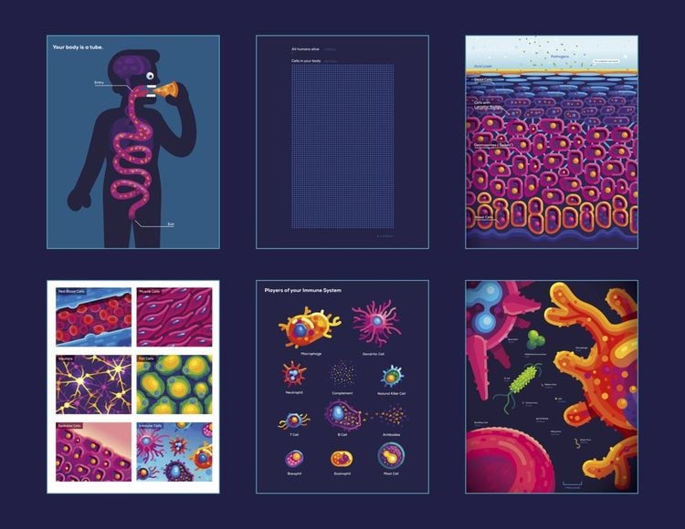 Produktbild: Immune