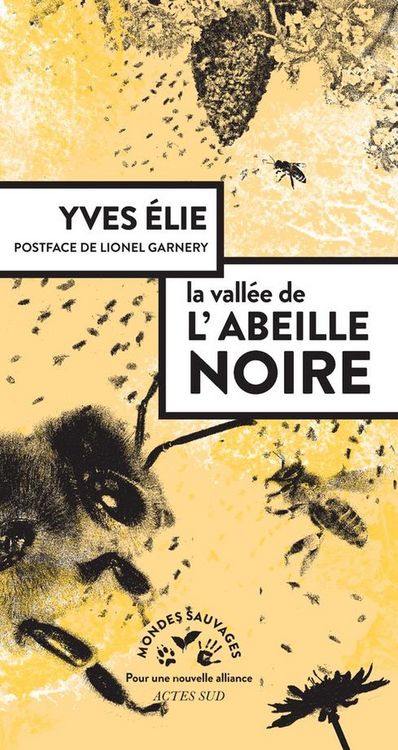 Produktbild: La vall&eacute;e de l'abeille noire