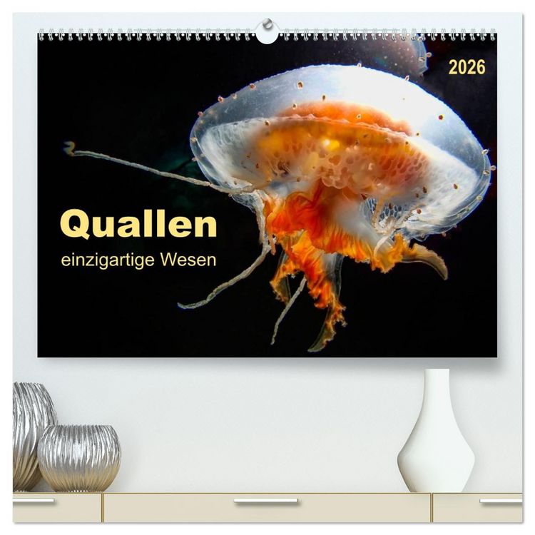 Produktbild: Quallen - einzigartige Wesen (hochwertiger Premium Wandkalender 2026 DIN A2 quer), Kunstdruck in Hochglanz