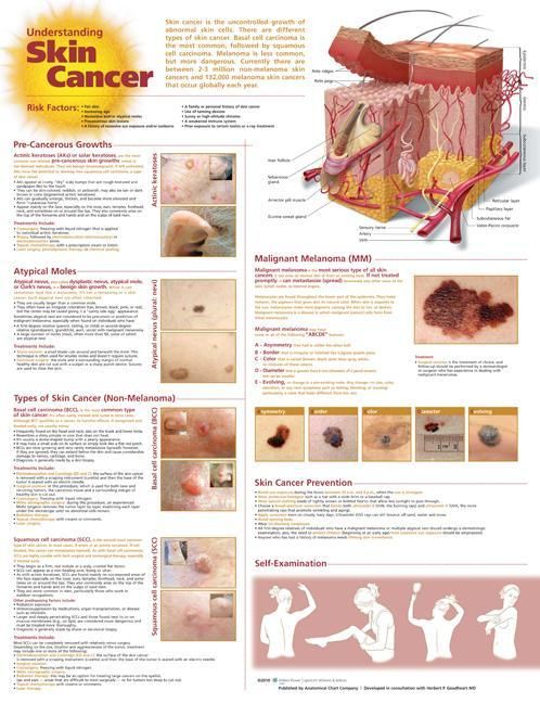 Produktbild: Understanding Skin Cancer Anat
