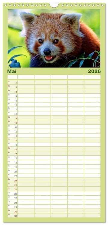 Produktbild: Familienplaner 2026 - Kleiner Panda mit 5 Spalten (Wandkalender, 21 x 45 cm) CALVENDO