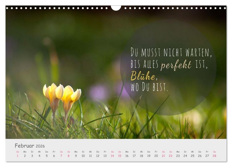 Produktbild: Sanfte Bl&uuml;ten &ndash; leise Worte (Wandkalender 2026 DIN A3 quer), CALVENDO Monatskalender