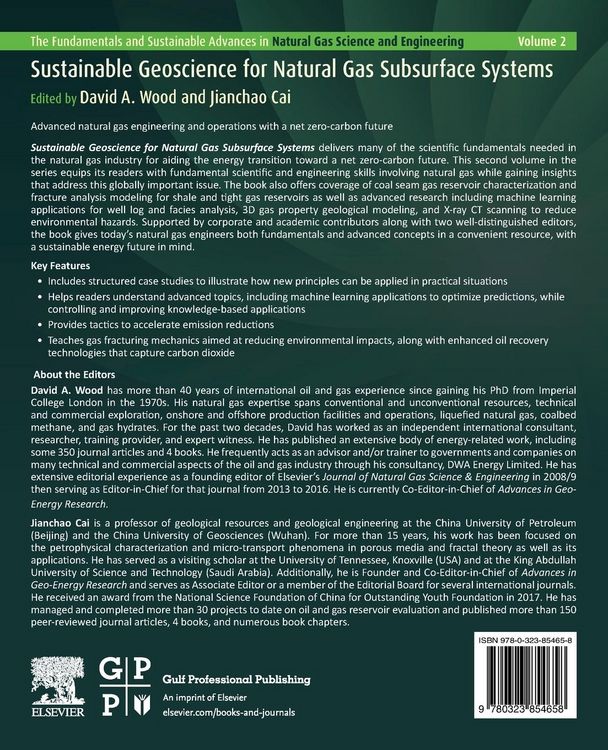 Produktbild: Sustainable Geoscience for Natural Gas SubSurface Systems