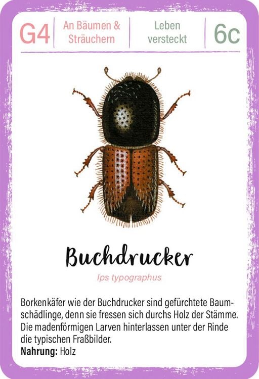 Produktbild: Expedition Natur Quartett Minimonster