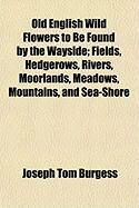 Produktbild: Old English Wild Flowers to Be Found by the Wayside; Fields, Hedgerows, Rivers, Moorlands, Meadows, Mountains, and Sea-Shore