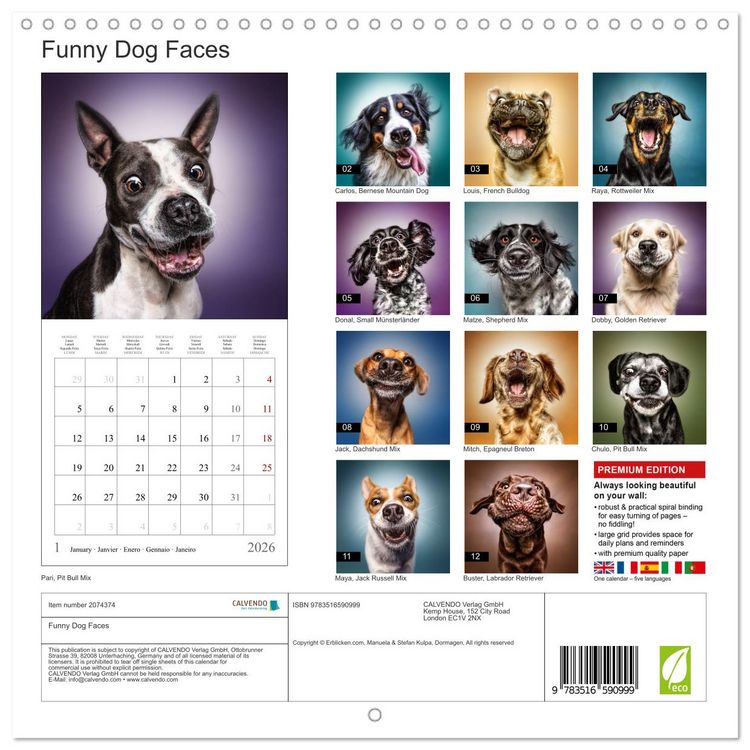 Produktbild: Funny Dog Faces (Wall Calendar 2026 12 &times; 12 Inch) CALVENDO 12 Month Wall Calendar