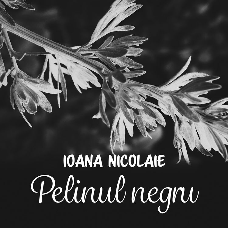 Produktbild: Pelinul negru