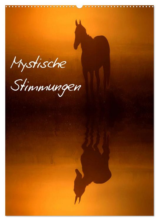 Produktbild: Mystische Stimmungen (Wandkalender 2026 DIN A2 hoch), CALVENDO Monatskalender