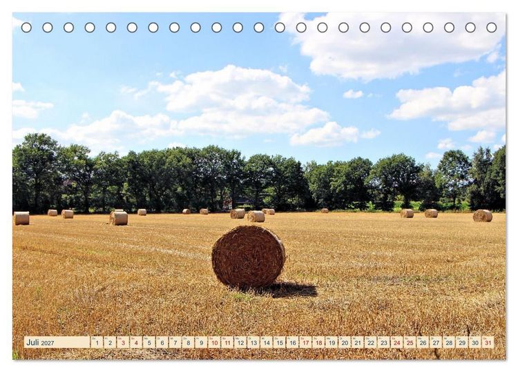 Produktbild: In Apen und umzu (Tischkalender 2027 DIN A5 quer), CALVENDO Monatskalender