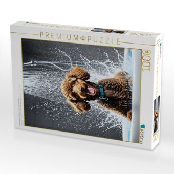 Produktbild: CALVENDO Puzzle Pudelwellness - fr&ouml;hlicher Pudel unter der Dusche | 1000 Teile Lege-Gr&ouml;&szlig;e 64x48cm Foto-Puzzle f&uuml;r gl&uuml;ckliche Stunden