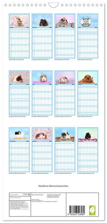 Produktbild: Familienplaner 2026 - Niedliche Meerschweinchen mit 5 Spalten (Wandkalender, 21 x 45 cm) CALVENDO