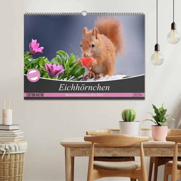Produktbild: Eichh&ouml;rnchen Momentaufnahmen f&uuml;rs Herz (Wandkalender 2026 DIN A2 quer), CALVENDO Monatskalender