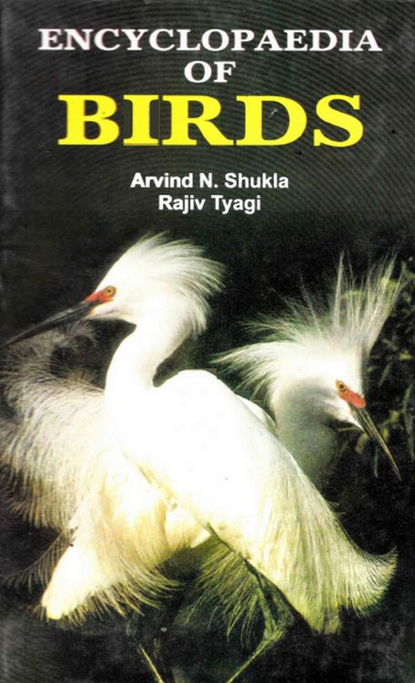 Produktbild: Encyclopaedia of Birds