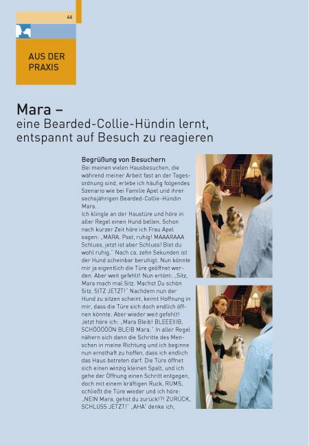 Produktbild: Hundetraining mit Martin R&uuml;tter