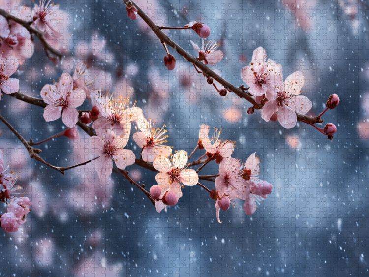 Produktbild: CALVENDO Puzzle Wenn Stille bl&uuml;ht und Wintertr&auml;ume erwachen | 1000 Teile Lege-Gr&ouml;&szlig;e 64x48cm Foto-Puzzle f&uuml;r gl&uuml;ckliche Stunden