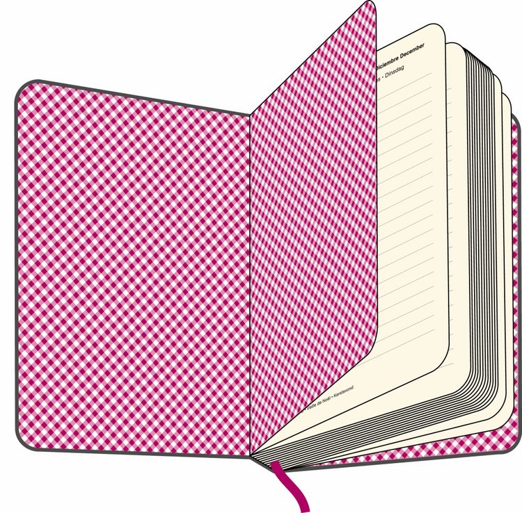 Produktbild: Cool Diary, Tageskalender klein, Grey/Vichy Pink/White 2013