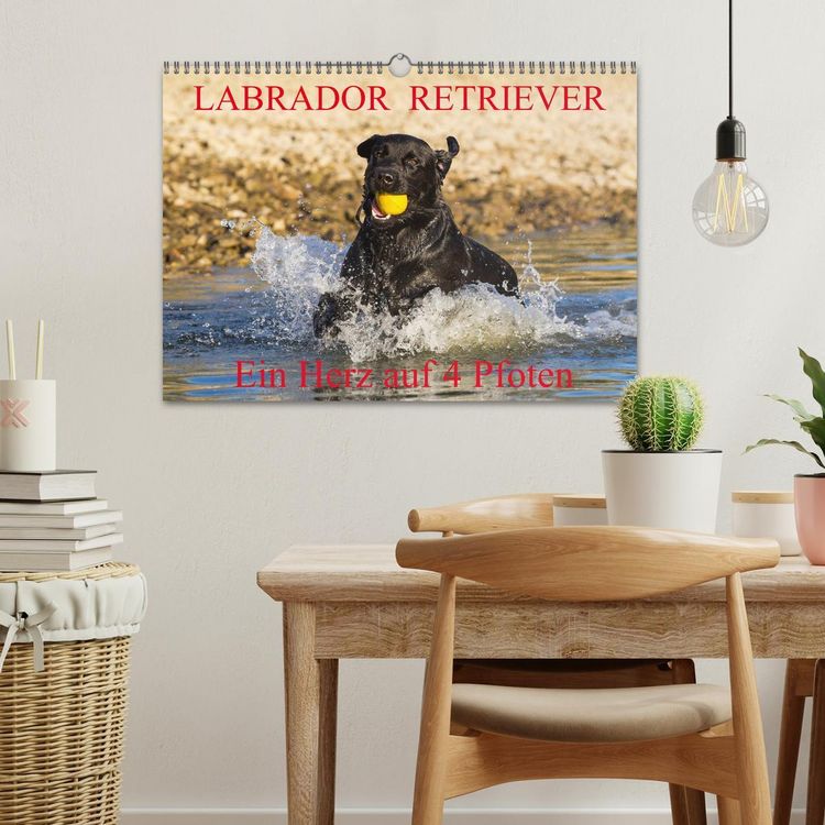 Produktbild: Labrador Retriever - ein Herz auf 4 Pfoten (Wandkalender 2026 DIN A3 quer), CALVENDO Monatskalender