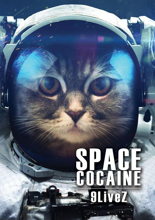 Produktbild: 9LiveZ (Space Cocaine, #4)