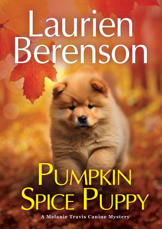 Produktbild: Pumpkin Spice Puppy