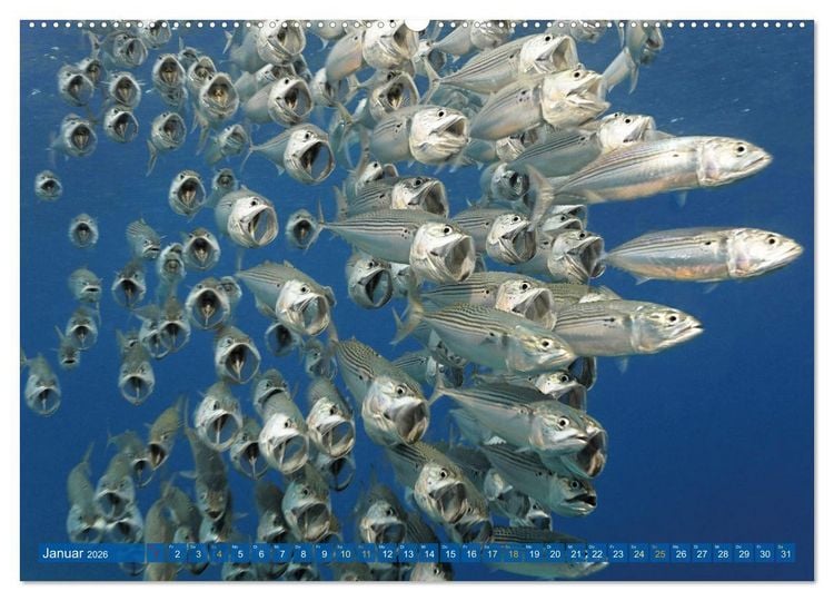 Produktbild: Planet Wasser: Von wegen Planet Erde (hochwertiger Premium Wandkalender 2026 DIN A2 quer), Kunstdruck in Hochglanz