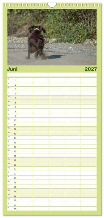 Produktbild: Familienplaner 2027 - Jagdhunde bei der Arbeit mit 5 Spalten (Wandkalender, 21 x 45 cm) CALVENDO