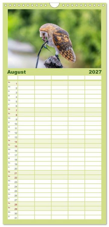 Produktbild: Familienplaner 2027 - Greifv&ouml;gel in Aktion - Dynamische Flugbilder und Portr&auml;ts mit 5 Spalten (Wandkalender, 21 x 45 cm) CALVENDO