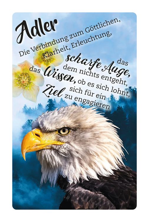 Produktbild: Krafttier-Orakelkarten