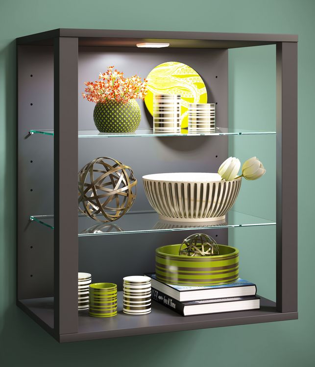 Produktbild: Holz Glas Stand Vitrine Sammelvitrine Glasol SW