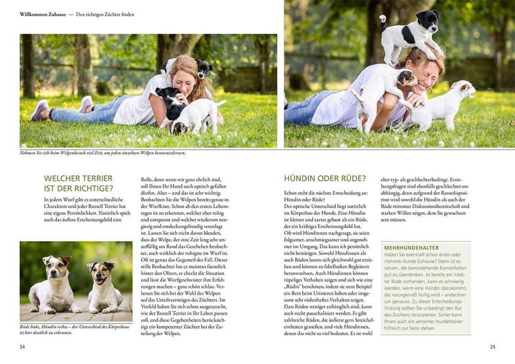Produktbild: Parson und Jack Russell Terrier