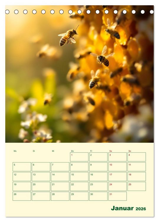 Produktbild: Bienenblick &ndash; Ein Jahr mit den Bienen (Tischkalender 2026 DIN A5 hoch), CALVENDO Monatskalender