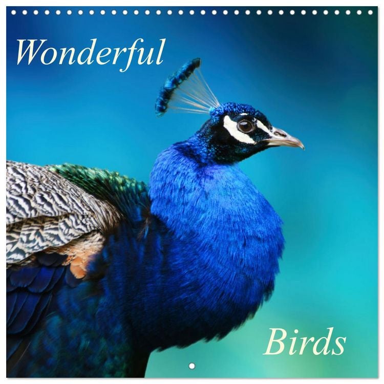 Produktbild: Wonderful Birds (Wall Calendar 2026 12 &times; 12 Inch) CALVENDO 12 Month Wall Calendar