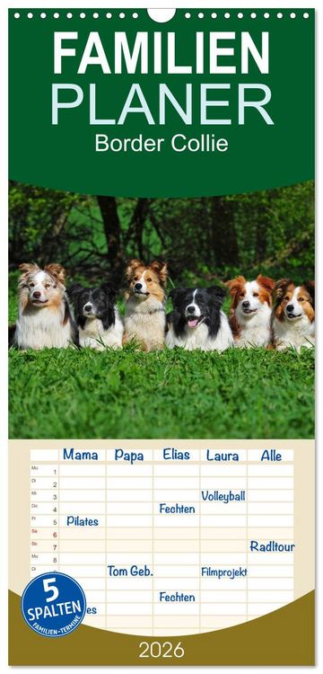 Produktbild: Familienplaner 2026 - Border Collie 2026 mit 5 Spalten (Wandkalender, 21 x 45 cm) CALVENDO