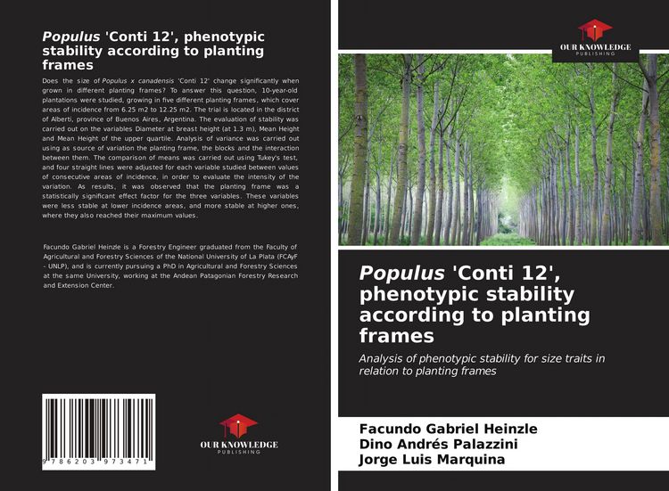 Produktbild: Populus 'Conti 12', phenotypic stability according to planting frames